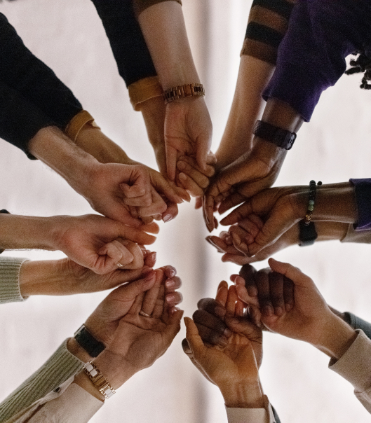 Celebrating the power of diversity